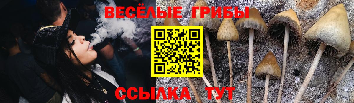 Псилоцибиновые грибы мухоморы Егорьевск